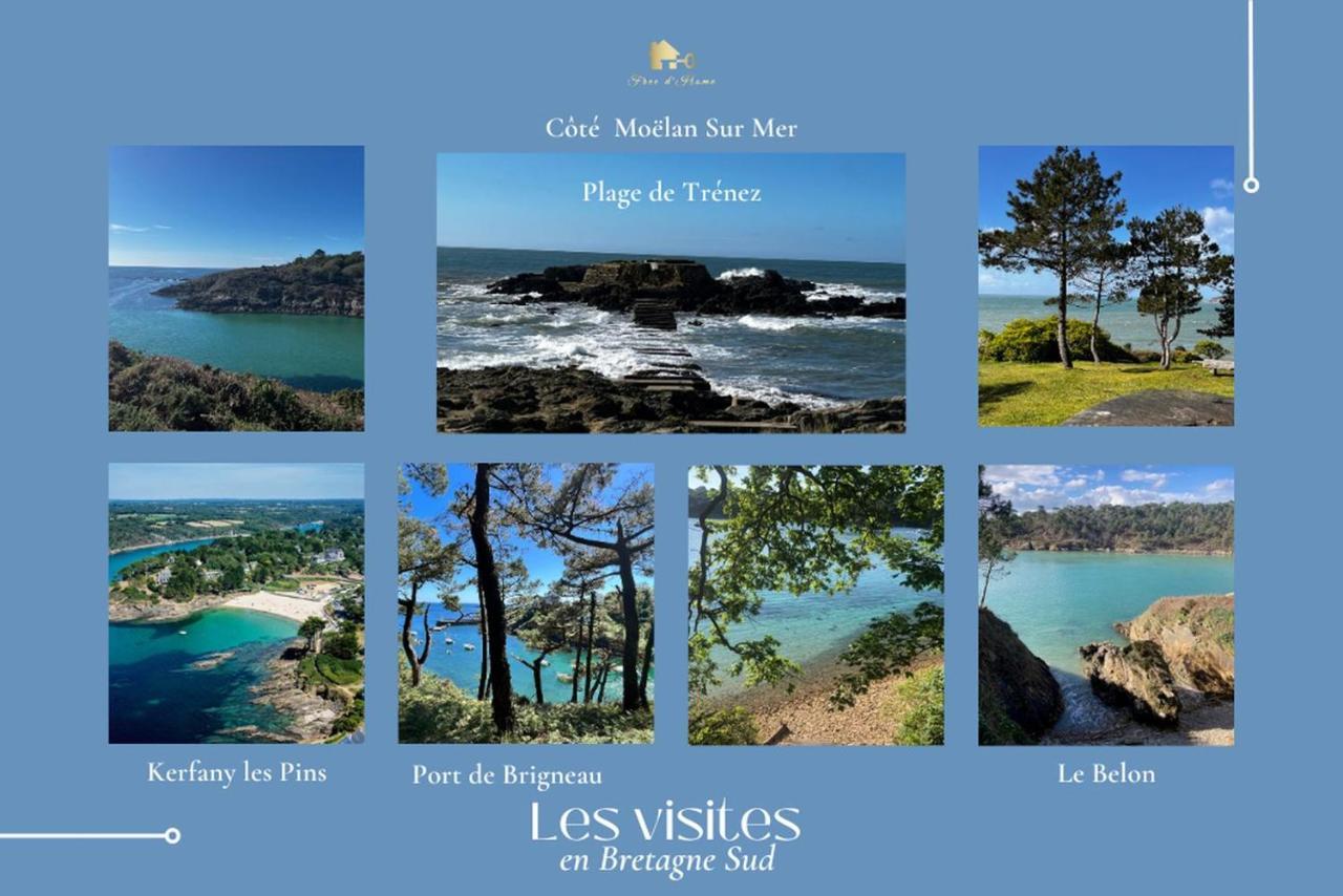 Le Tiguidou, Cosy, Lumineux, 2-6 Pers, Plage 300M Moelan-sur-Mer Exterior photo