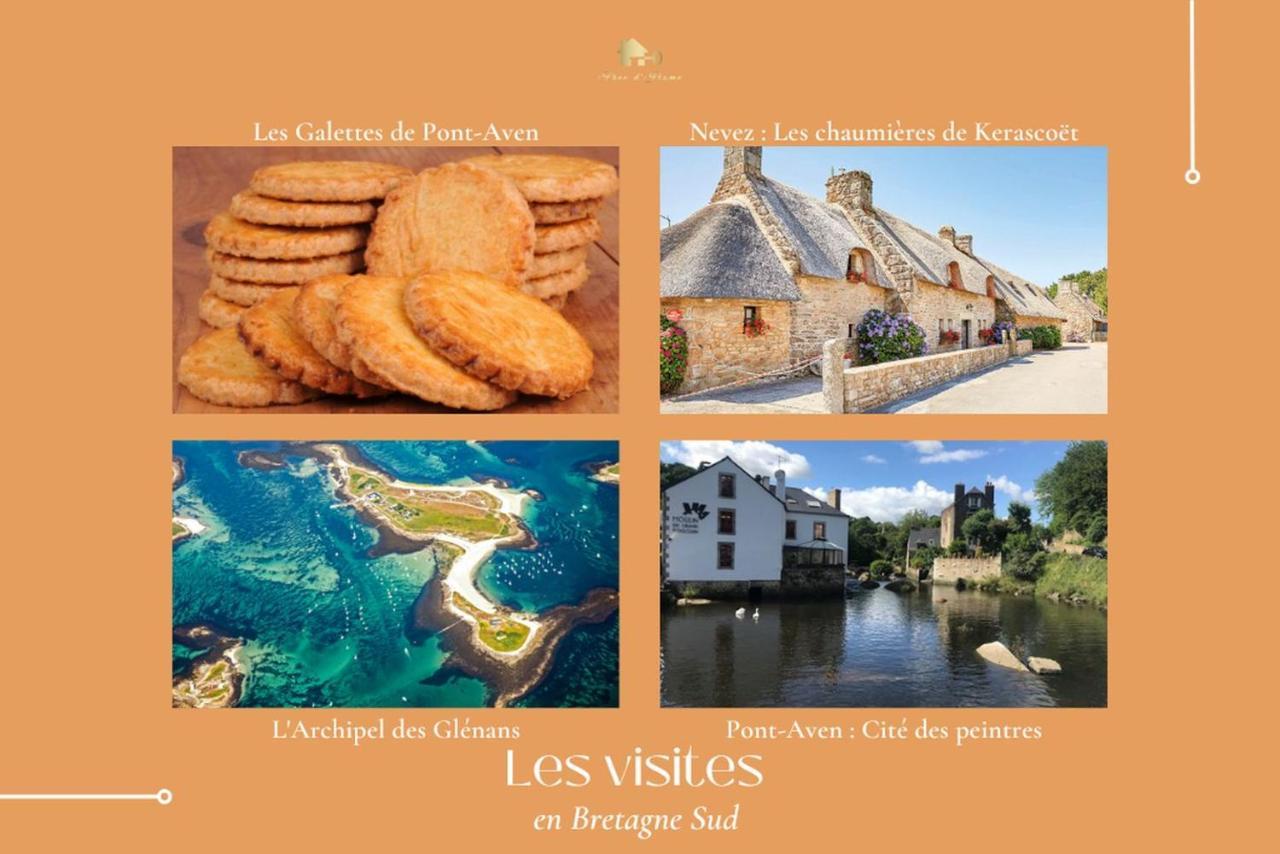 Le Tiguidou, Cosy, Lumineux, 2-6 Pers, Plage 300M Moelan-sur-Mer Exterior photo